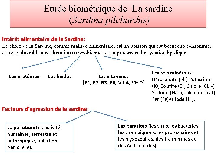 Etude biométrique de La sardine (Sardina pilchardus) Intérêt alimentaire de la Sardine: Le choix