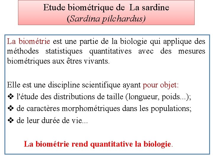 Etude biométrique de La sardine (Sardina pilchardus) La biométrie est une partie de la