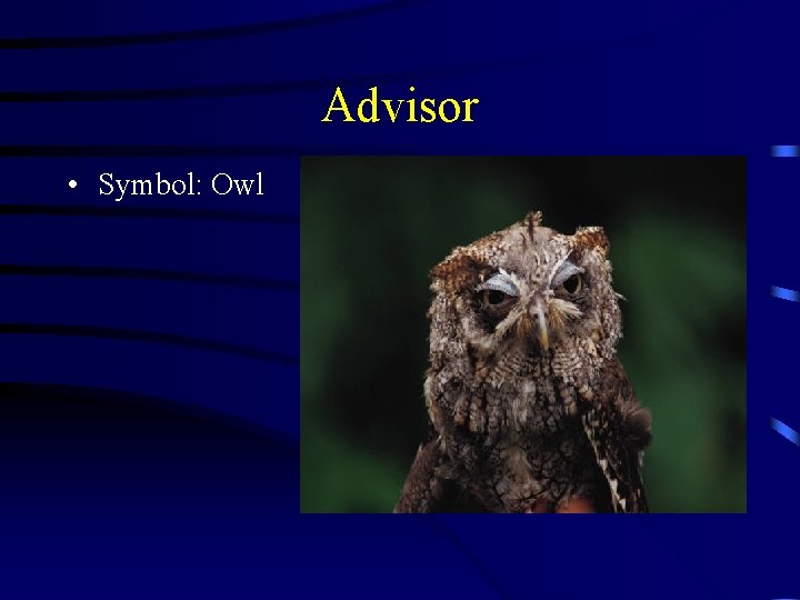 Advisor • Symbol: Owl 