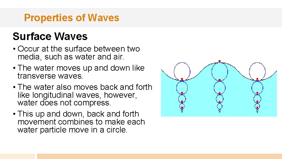 Properties of Waves Surface Waves • Occur at the surface between two media, such