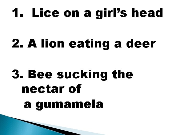 1. Lice on a girl’s head 2. A lion eating a deer 3. Bee