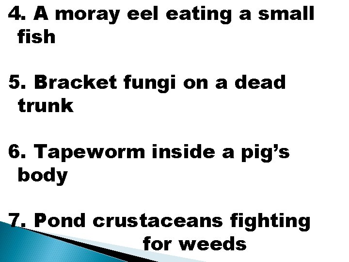 4. A moray eel eating a small fish 5. Bracket fungi on a dead