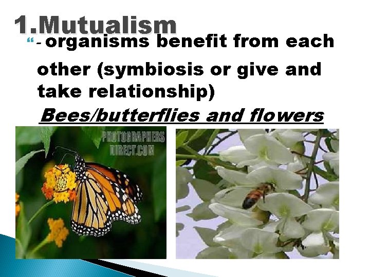 1. Mutualism - organisms benefit from each other (symbiosis or give and take relationship)