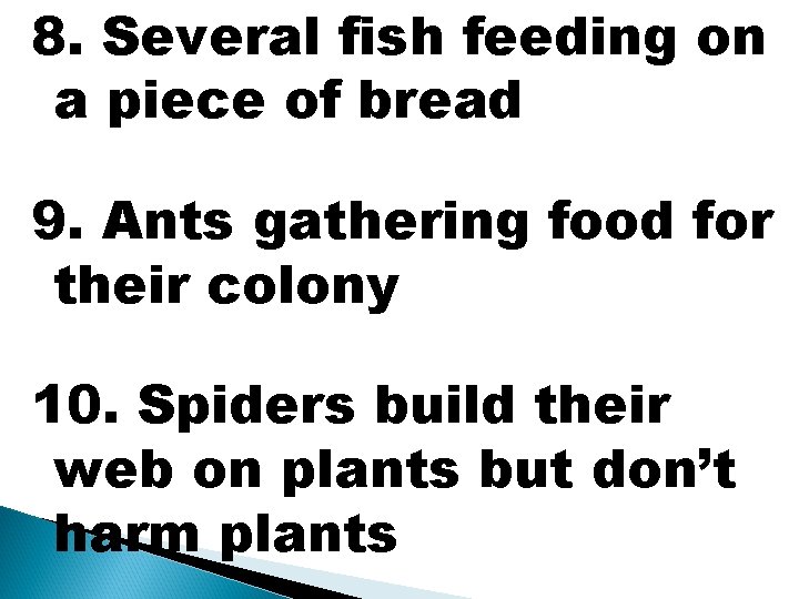 8. Several fish feeding on a piece of bread 9. Ants gathering food for