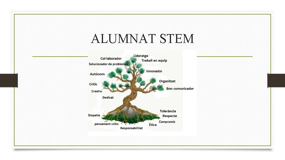 ALUMNAT STEM 