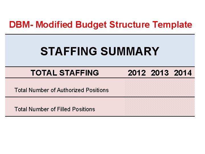 DBM- Modified Budget Structure Template STAFFING SUMMARY TOTAL STAFFING Total Number of Authorized Positions