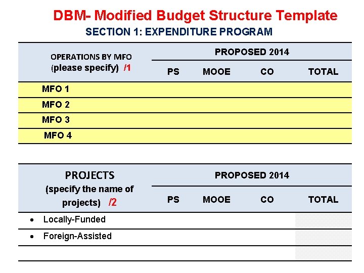 DBM- Modified Budget Structure Template SECTION 1: EXPENDITURE PROGRAM OPERATIONS BY MFO (please specify)