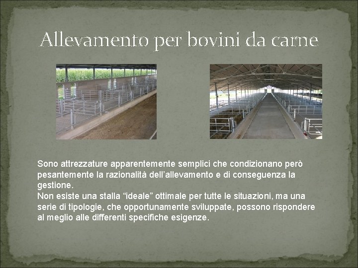 Allevamento per bovini da carne Sono attrezzature apparentemente semplici che condizionano però pesantemente la