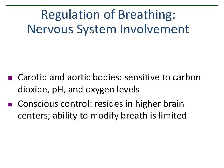 Regulation of Breathing: Nervous System Involvement n n Carotid and aortic bodies: sensitive to