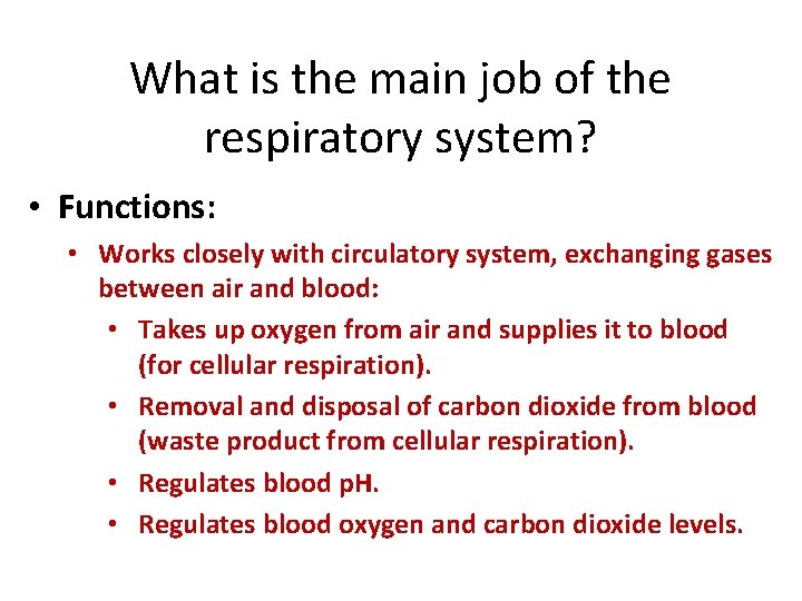What is the main job of the respiratory system? • Functions: • Works closely