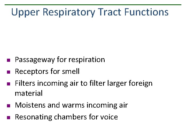 Upper Respiratory Tract Functions n n n Passageway for respiration Receptors for smell Filters