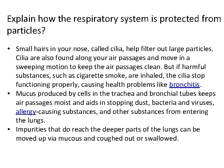 Explain how the respiratory system is protected from particles? • Small hairs in your