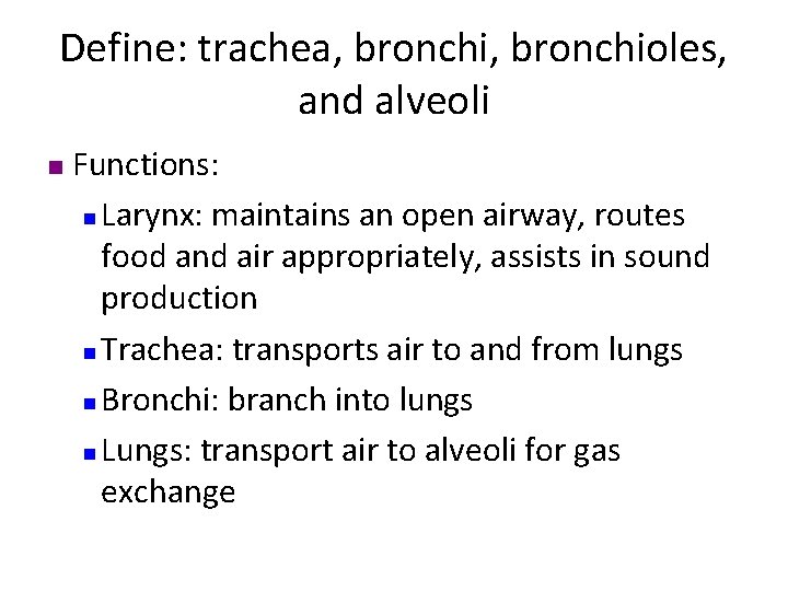 Define: trachea, bronchioles, and alveoli n Functions: n Larynx: maintains an open airway, routes