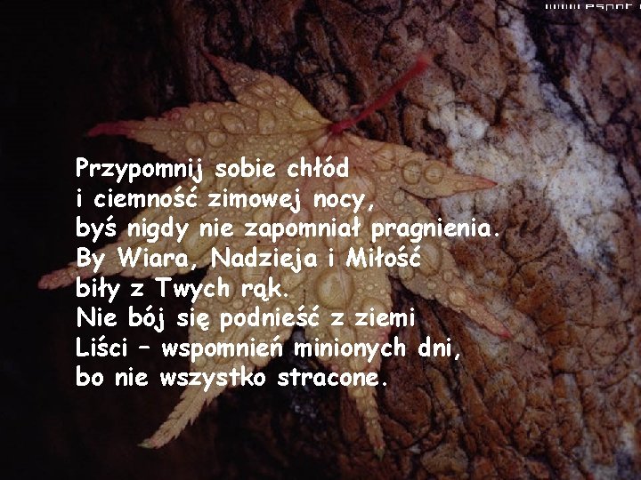 Przypomnij sobie chłód i ciemność zimowej nocy, byś nigdy nie zapomniał pragnienia. By Wiara,