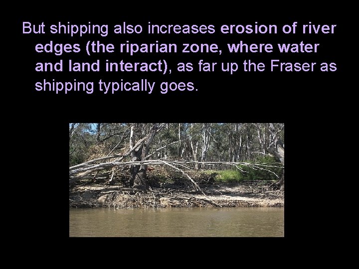 But shipping also increases erosion of river edges (the riparian zone, where water and