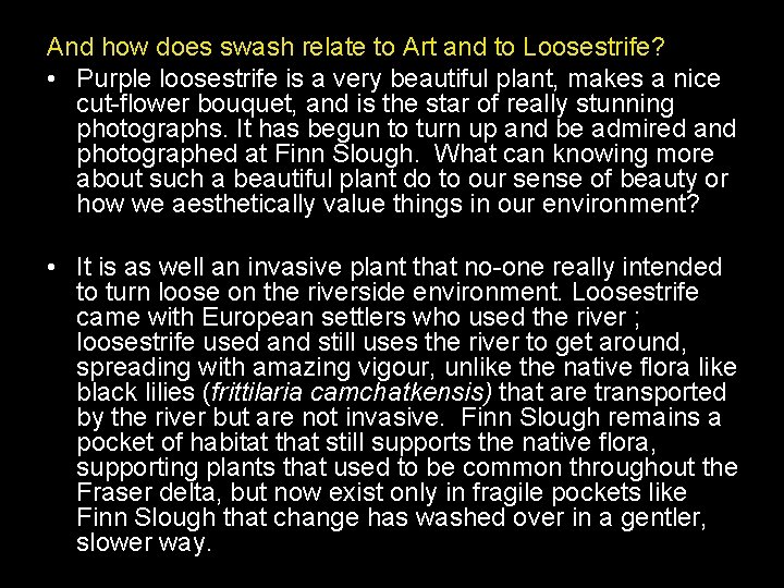 And how does swash relate to Art and to Loosestrife? • Purple loosestrife is