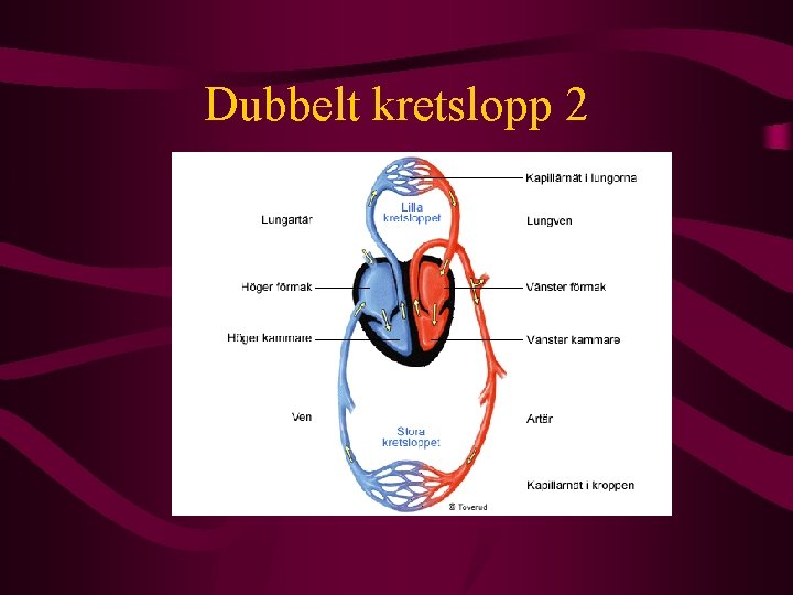 Dubbelt kretslopp 2 