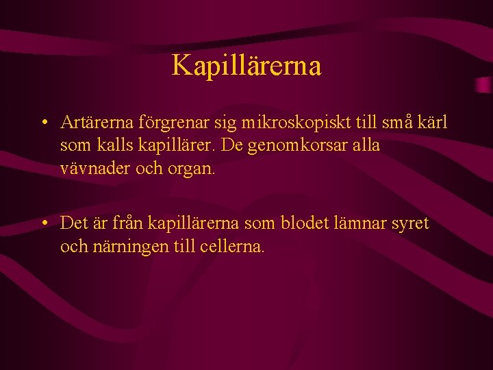 Kapillärerna • Artärerna förgrenar sig mikroskopiskt till små kärl som kalls kapillärer. De genomkorsar