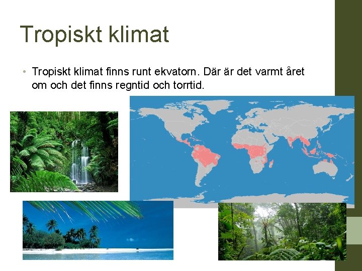 Tropiskt klimat • Tropiskt klimat finns runt ekvatorn. Där är det varmt året om