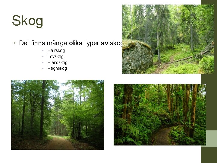 Skog • Det finns många olika typer av skog: • • Barrskog Lövskog Blandskog