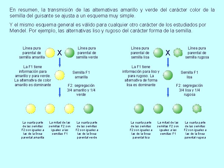 En resumen, la transmisión de las alternativas amarillo y verde del carácter color de