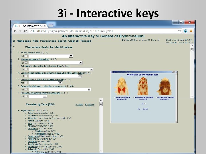 3 i - Interactive keys 