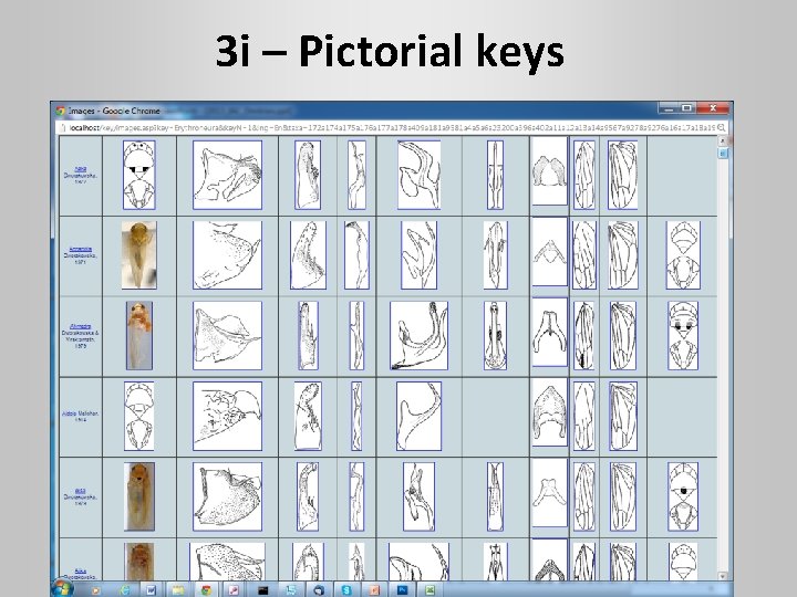 3 i – Pictorial keys 