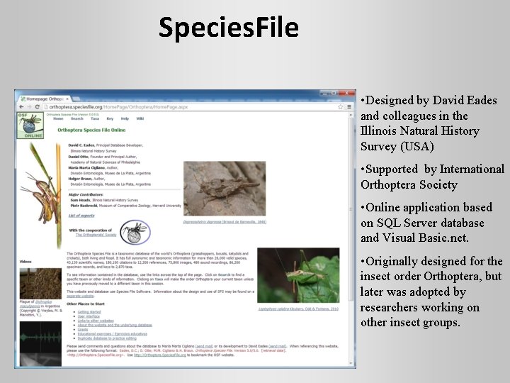 Species. File • Designed by David Eades and colleagues in the Illinois Natural History