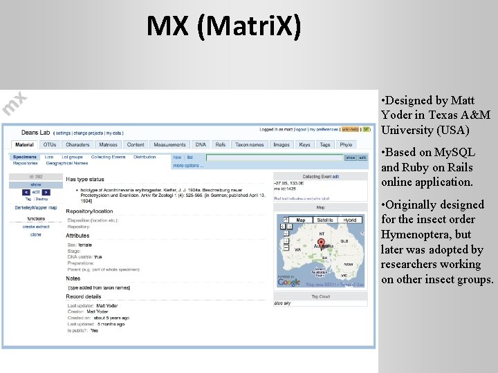 MX (Matri. X) • Designed by Matt Yoder in Texas A&M University (USA) •
