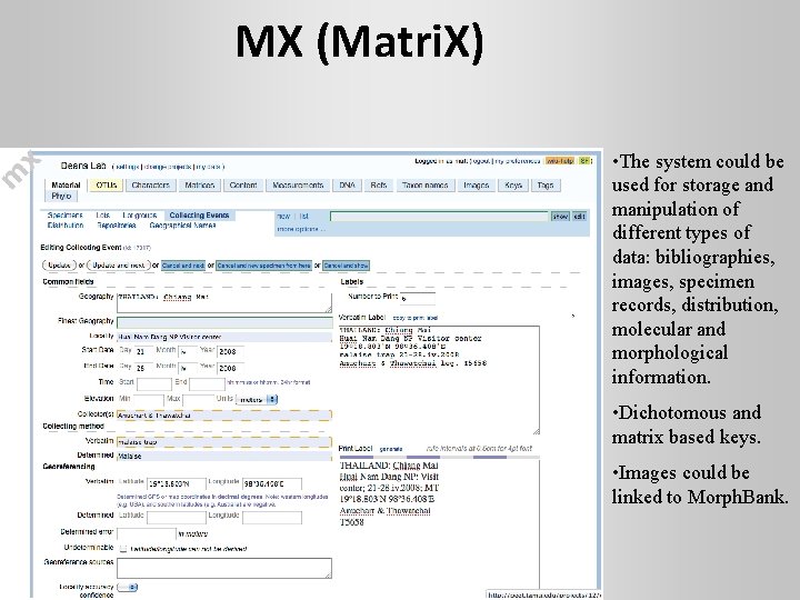 MX (Matri. X) • The system could be used for storage and manipulation of
