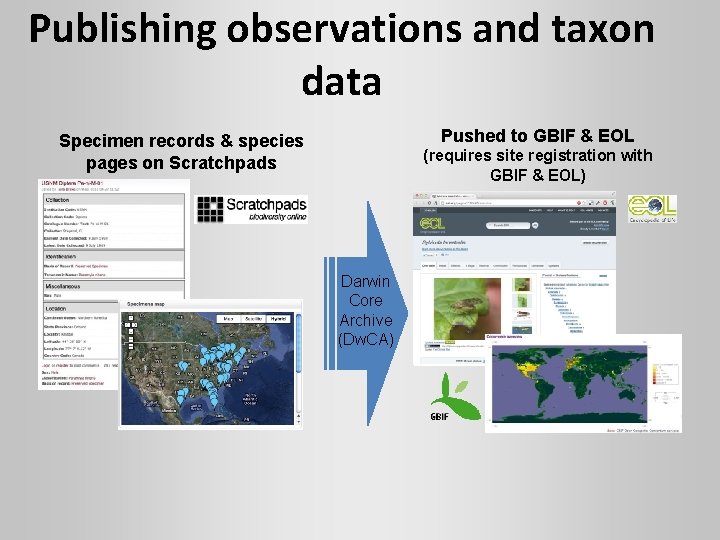 Publishing observations and taxon data Pushed to GBIF & EOL Specimen records & species