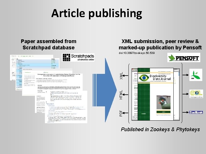 Article publishing XML submission, peer review & marked-up publication by Pensoft HTML XML doi: