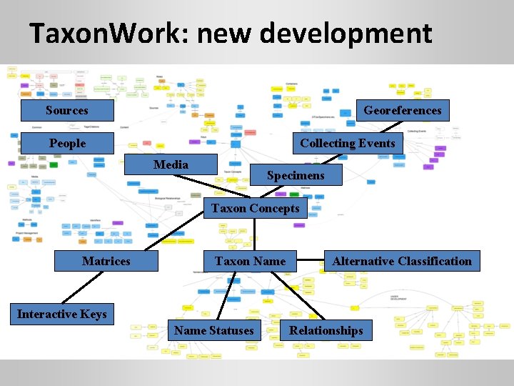 Taxon. Work: new development Sources Georeferences People Collecting Events Media Specimens Taxon Concepts Matrices