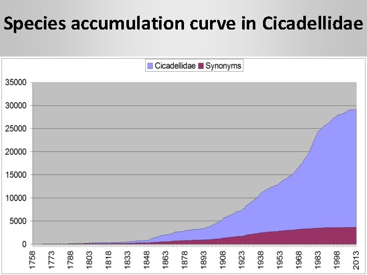 Species accumulation curve in Cicadellidae 