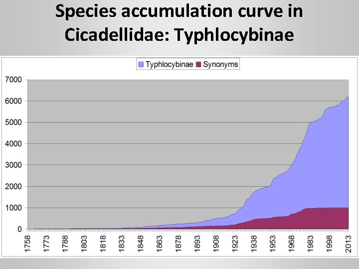 Species accumulation curve in Cicadellidae: Typhlocybinae 
