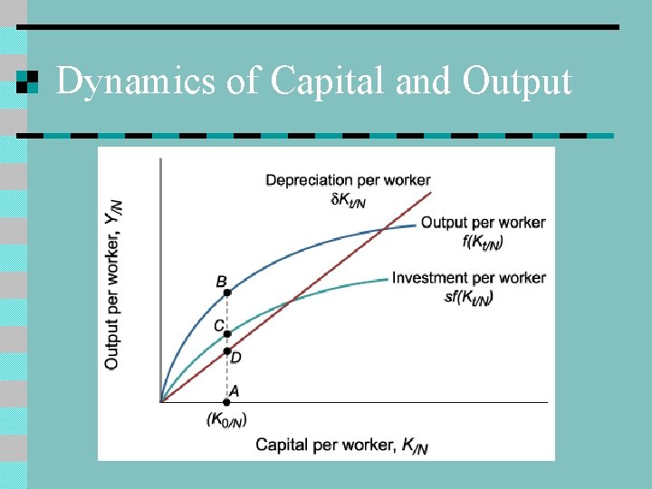 Dynamics of Capital and Output 