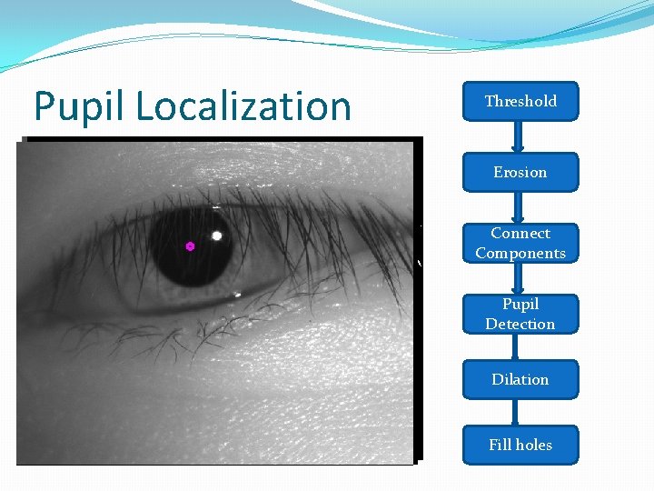 Pupil Localization Threshold Erosion Connect Components Pupil Detection Dilation Fill holes 