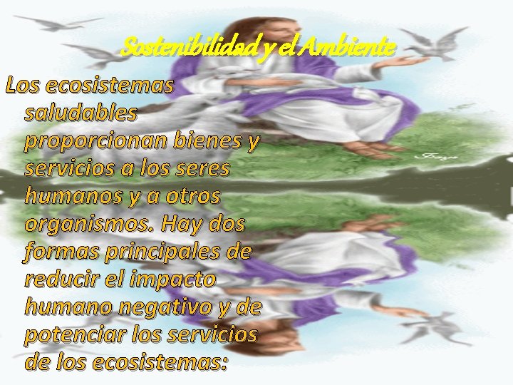 Sostenibilidad y el Ambiente Los ecosistemas saludables proporcionan bienes y servicios a los seres