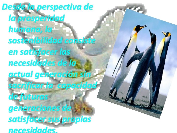 Desde la perspectiva de la prosperidad humana, la sostenibilidad consiste en satisfacer las necesidades