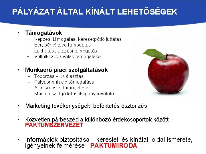 PÁLYÁZAT ÁLTAL KÍNÁLT LEHETŐSÉGEK • Támogatások − − Képzési támogatás, keresetpótló juttatás Bér, bérköltség