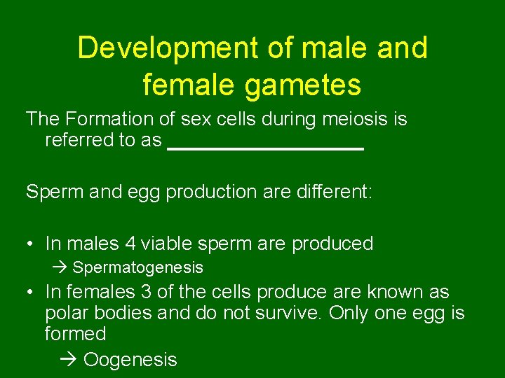 Development of male and female gametes The Formation of sex cells during meiosis is Development of male and female gametes The Formation of sex cells during meiosis is