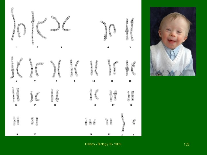 Hillaby - Biology 30 - 2009 128  Hillaby - Biology 30 - 2009 128