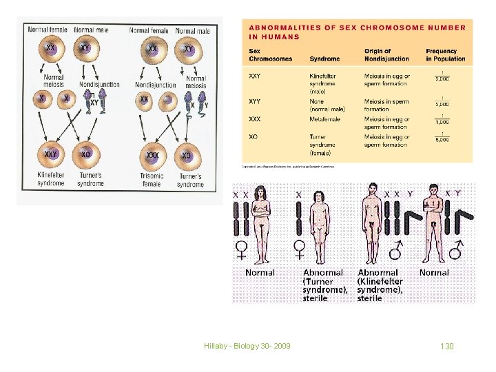 Hillaby - Biology 30 - 2009 130 