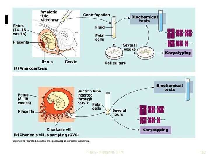 Hillaby - Biology 30 - 2009 152 