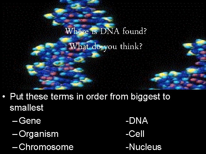 Where is DNA found? What do you think? • Put these terms in order