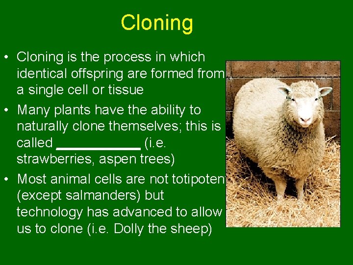 Cloning • Cloning is the process in which identical offspring are formed from a