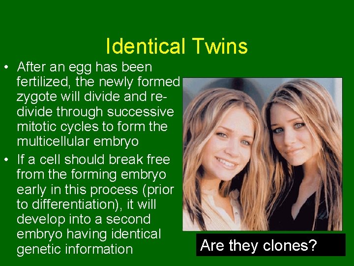 Identical Twins • After an egg has been fertilized, the newly formed zygote will