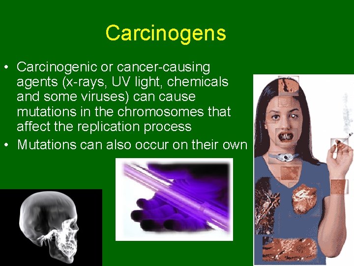 Carcinogens • Carcinogenic or cancer-causing agents (x-rays, UV light, chemicals and some viruses) can