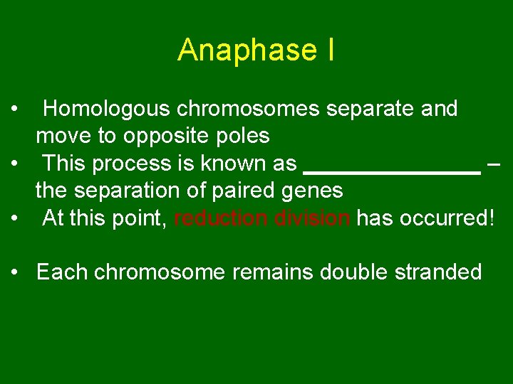 Anaphase I • Homologous chromosomes separate and move to opposite poles • This process