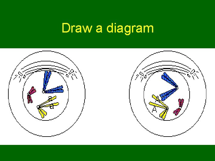 Draw a diagram 